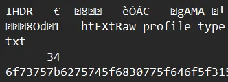 The image data in a text editor
